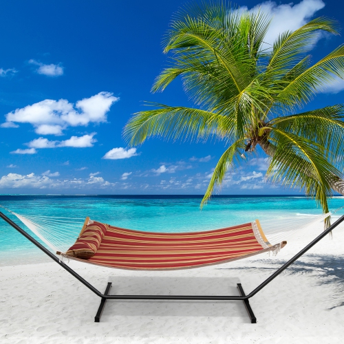 Hamac de Costway avec courroie incurvée en bambou et chaîne portative d'intérieur pour l'extérieur