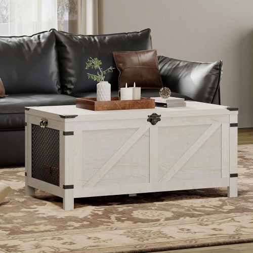 Table basse WAMPAT pour salon, table basse à dessus relevable avec rangement, petits meubles d'appoint avec armoire en filet et verrou rustique, blan