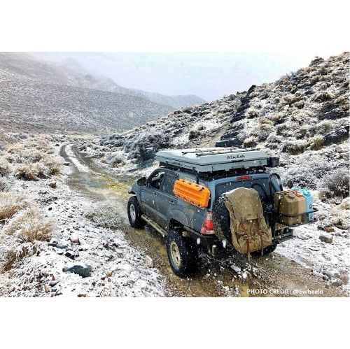 Scepter BPA Durable 5 Gallon 20 Liter Portable Water Storage Container, Green