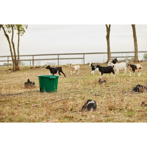 Farm Innovators – seau en plastique chauffant pour eau animale, 16 gallons, vert