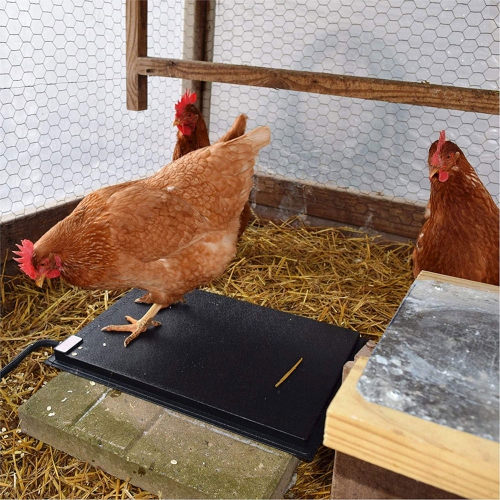 Farm Innovators 19 x 13 In Heated Chicken Mat for Coops & Nesting Areas