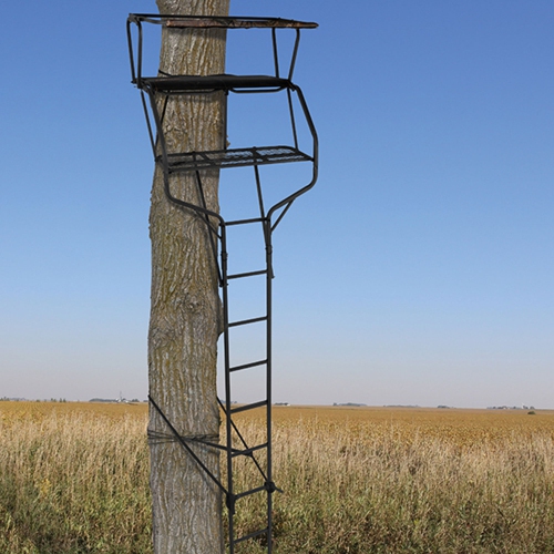 Big Game Guardian DXT Portable 2 Hunter Tree Ladder Stand, 18 Foot