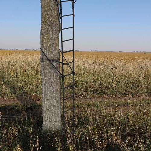 Big Game Guardian DXT Portable 2 Hunter Tree Ladder Stand, 18 Foot