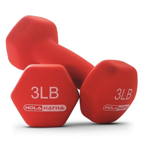 HOLAHATHA  3, 5, And 8 Pound Dumbbell Hand Weight Set With Storage Rack, Multi