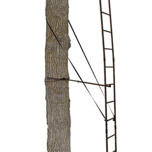 Big Game Warrior DXT 17' Portable Hunting Outside Tree Stand Ladder