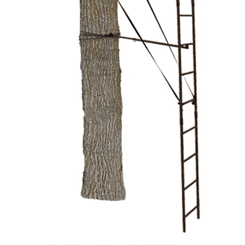 Big Game Warrior DXT 17' Portable Hunting Outside Tree Stand Ladder