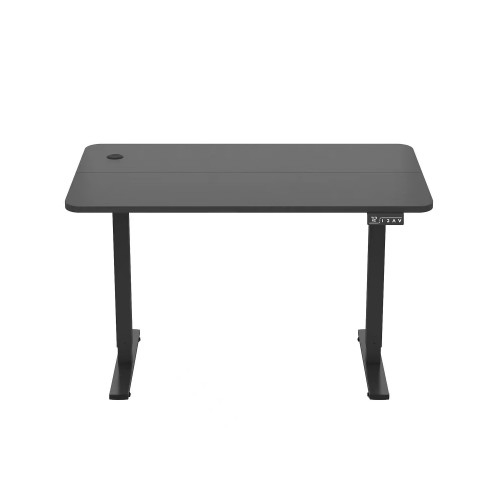 Electric Standing Desk, 120 x 60 cm Steel Adjustable Height Desk, Quick Assembly, Ultra-Quiet Motor