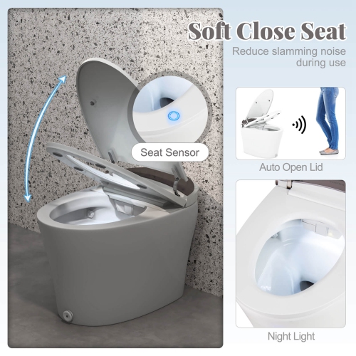 Costway Smart Toilet with Adjustable Heated Seat Dryer Night Light Auto Open/Close 1000 Gram MaP Flushing Score