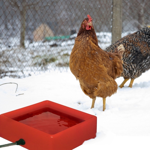 Farm Innovators 1.25 Gallon 60W Electric Heated Pet Water Bowl, Red