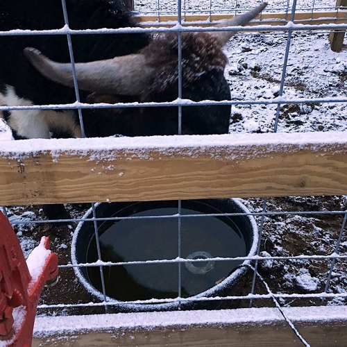 Farm Innovators Submergible Cast Aluminum Utility De-Icer for Farm Use