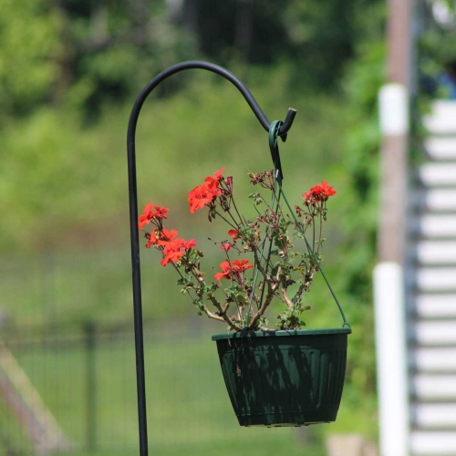 Ashman – Crochet de jardin en métal de qualité supérieure, 92 po, noir