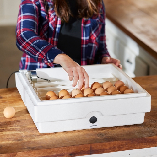 Spatule à oeufs à pois 41 automatique Farm Innovators 3200 pour éclosion améliorée