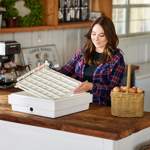 Spatule à oeufs à pois 41 automatique Farm Innovators 3200 pour éclosion améliorée