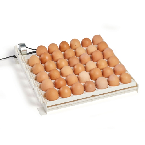 Spatule à oeufs à pois 41 automatique Farm Innovators 3200 pour éclosion améliorée