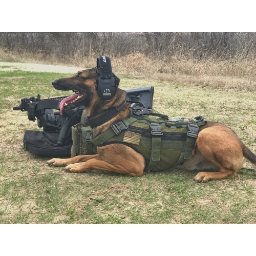 Walkers Razor Slim Shooting Ear Protection Muffs