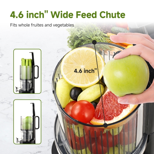4.6" Wide Chute Cold Press Juicer, Whole Fruit Masticating, Stainless Steel, Large Auger & Dual Strainers, Easy Clean