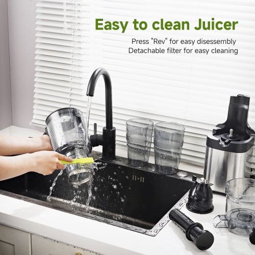 4.6" Wide Chute Cold Press Juicer, Whole Fruit Masticating, Stainless Steel, Large Auger & Dual Strainers, Easy Clean