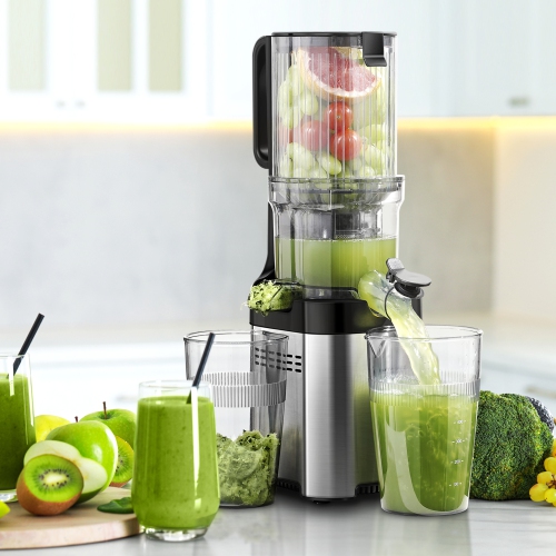 4.6" Wide Chute Cold Press Juicer, Whole Fruit Masticating, Stainless Steel, Large Auger & Dual Strainers, Easy Clean