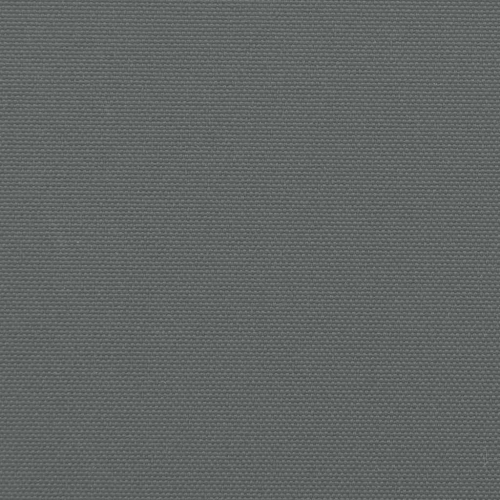 vidaXL Retractable Side Awning Anthracite 160x600 cm