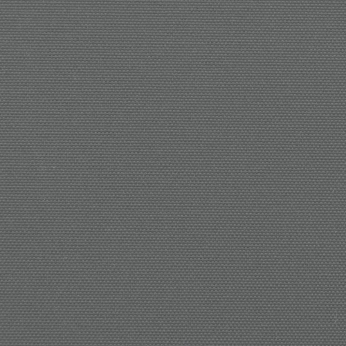 vidaXL Retractable Side Awning Anthracite 180x600 cm