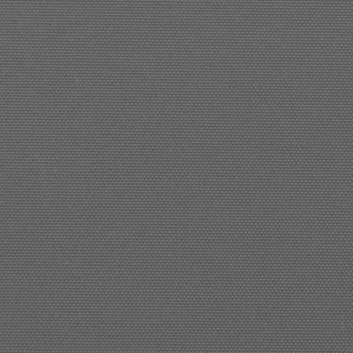 vidaXL Retractable Side Awning Anthracite 100x1000 cm