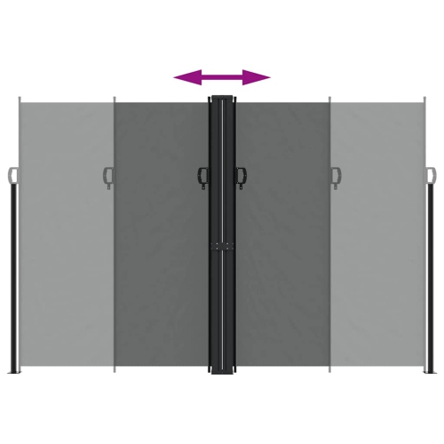 vidaXL Retractable Side Awning Anthracite 220x1000 cm