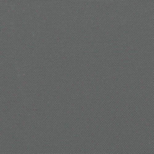 vidaXL Retractable Side Awning Anthracite 100x600 cm