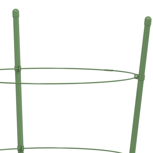 Supports de plantes de jardin vidaXL avec 3 anneaux 5 pièces en acier 60&nbsp;cm vert