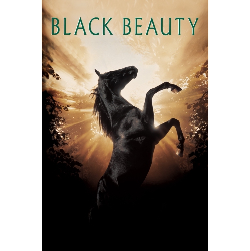 Black Beauty [DVD]