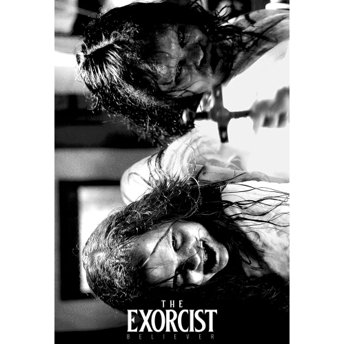 Image 1 de 1.. The Exorcist: Believer [DVD]