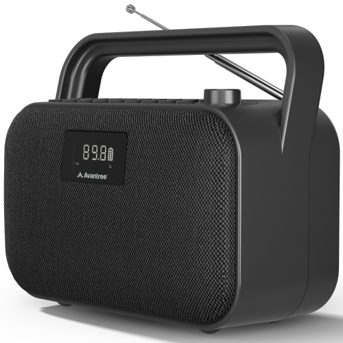 Avantree PowerByte - Portable Powerful 30W Stereo Bluetooth Speakers with Digital FM Radio & SD Card Player, 20hr Rechargeable Playtime, and Extended