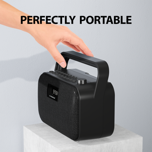 Avantree PowerByte - Portable Powerful 30W Stereo Bluetooth Speakers with Digital FM Radio & SD Card Player, 20hr Rechargeable Playtime, and Extended