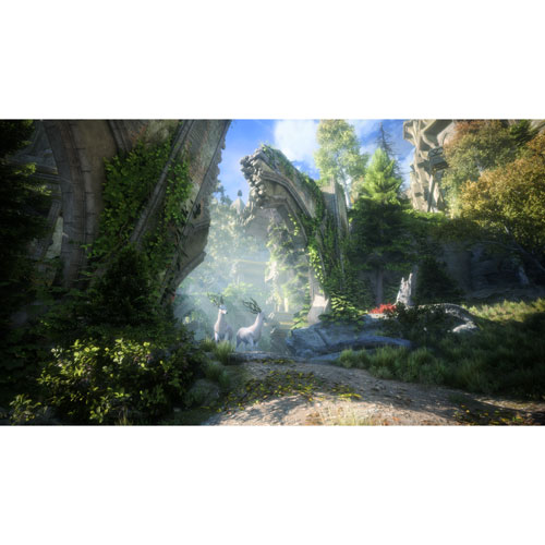 Image 9 of 21.. Dragon Age: The Veilguard