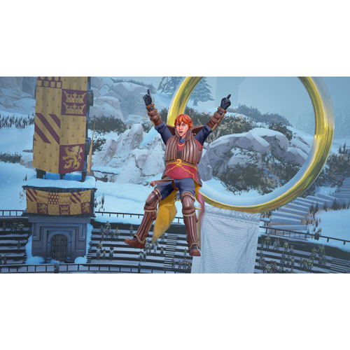 Harry Potter: Champions de Quidditch - Édition Deluxe