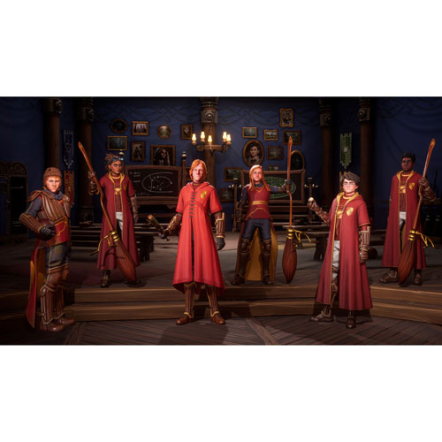 Harry Potter: Champions de Quidditch - Édition Deluxe