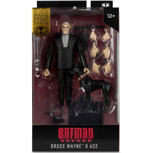 DC  Multiverse Batman Beyond 7 Inch Action Figure Exclusive - Bruce Wayne With Ace The Bat Hound Label In Gold