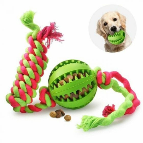 Dog Chew Toys Durable Rubber Dog Toys for Aggressive Chewers Tough Toys for Training and Cleaning Teeth Interactive Dog Toys Green Best Buy Canada