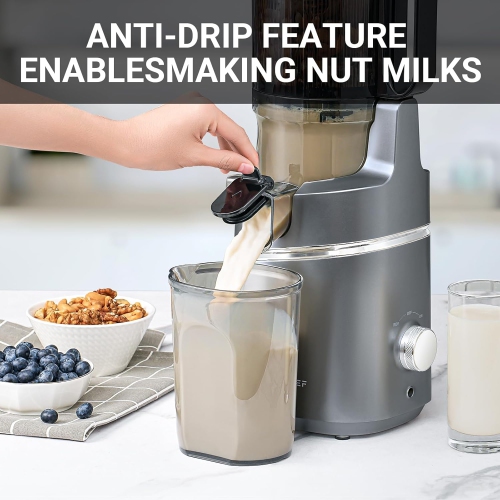 AMZCHEF – extracteur de jus masticateur à extraction lente et à extraction lente, 5,3 po, fruits entiers, machines d’extraction électrique à pression