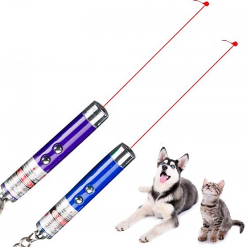 Flambeau DEL pour chien animal de compagnie chien laser laser laser laser laser laser laser laser laser laser laser laser laser laser laser laser