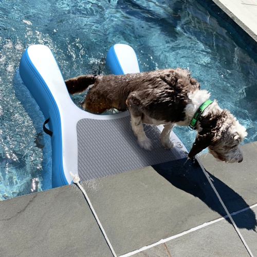 Floating Dog Ramp Inflatable Pet Ladder Up To 242lb