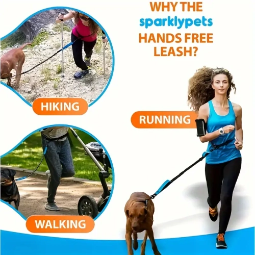 BELT POUR CHOIX – Noir – Grandes courroies réfléchissantes KL-011