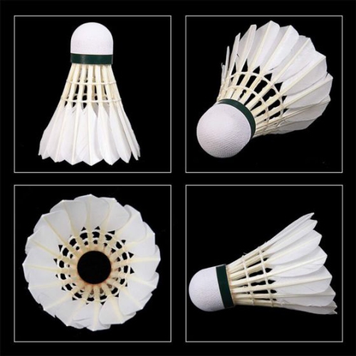 Paquet de 12 volants de badminton à plumes d'oie haute vitesse – durables, stables et parfaits pour l'entraînement sportif