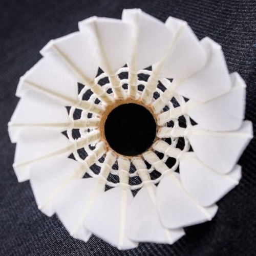 Paquet de 12 volants de badminton à plumes d'oie haute vitesse – durables, stables et parfaits pour l'entraînement sportif