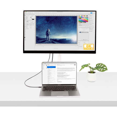 Câble USB-C/USB-C ThunderBolt 4.0 de 0,5 m de StarTech (TBLT4MM50CM) - Noir