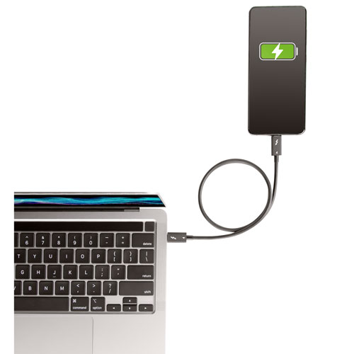 Câble USB-C/USB-C ThunderBolt 4.0 de 0,5 m de StarTech (TBLT4MM50CM) - Noir