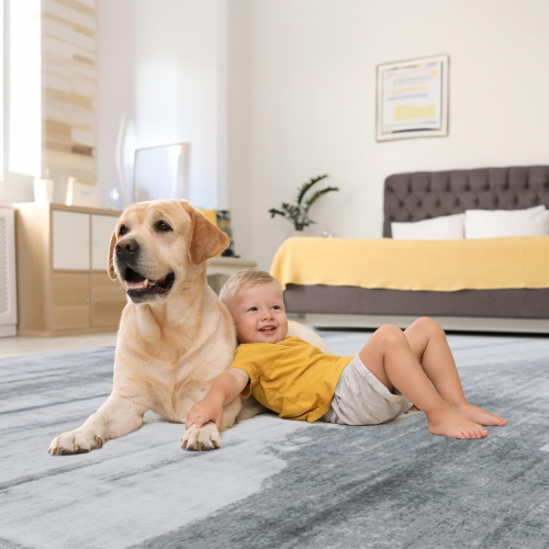 Modern Abstract Area Rug - 8' x 10' Area Rug Carpet, Non-Slip Non-Shedding Washable Rugs for Living Room and Bedroom, Grey