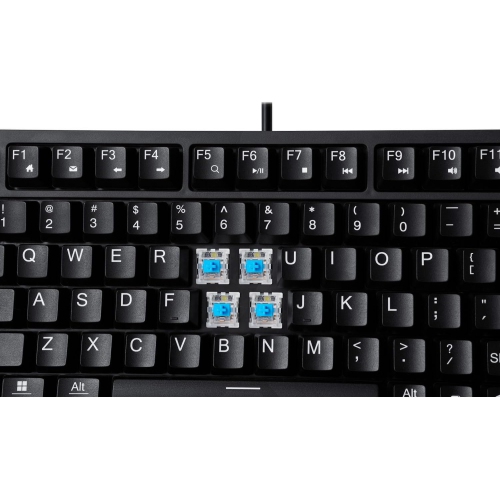 Multi OS 2X Large Print Mechanical Mini keyboard with CoPilot key