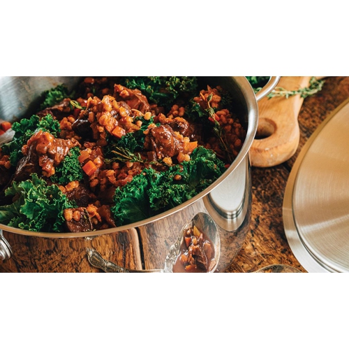 Meyer Accolade Stainless Steel 5L Dutch Oven with cover, Made in Canada