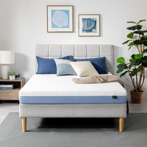 Zinus Queen Mattress, 6 Inch Cooling Essential Foam Mattress, Affordable Mattress, Mattress in a Box, CertiPUR-US Certified with Pressure Relief & Co