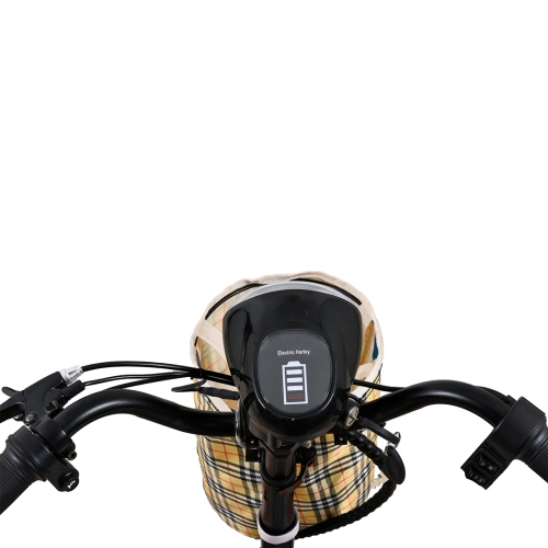 Dragon Mobile EX 4 Wheel Electric Scooter Rides 20 km, Foldable Heavy-Duty with 3 Adjustable Speeds, Reverse Gear, Large Leather Seat, LED Lights &